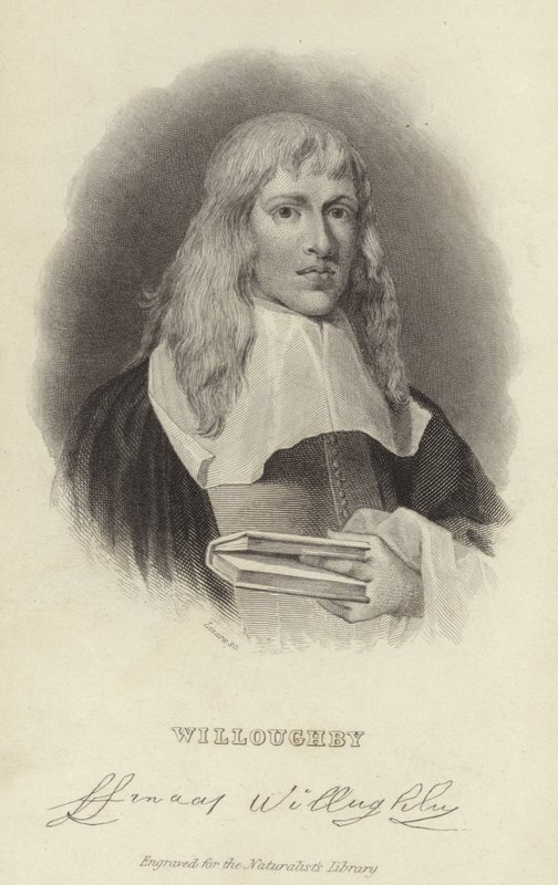 Francis Willughby da English School