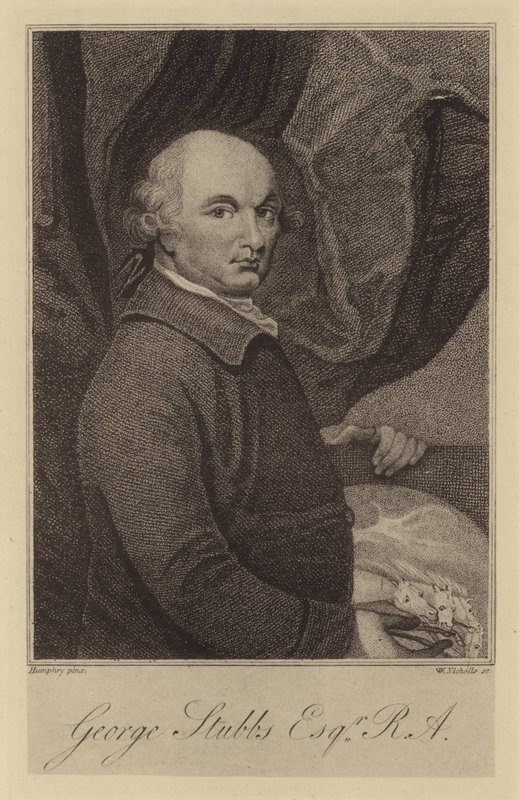 George Stubbs da English School