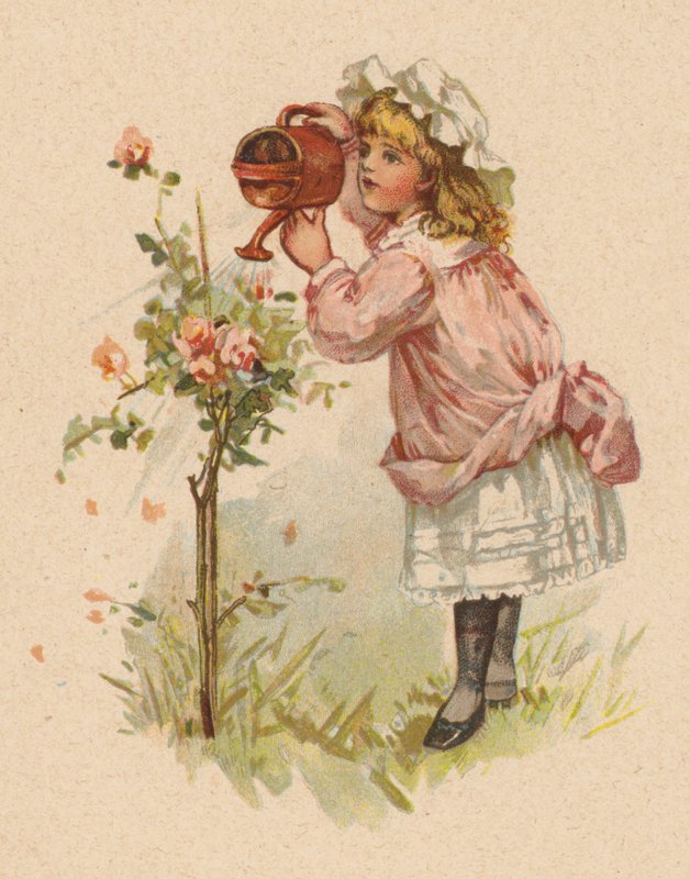 Ragazza che annaffia le rose da English School