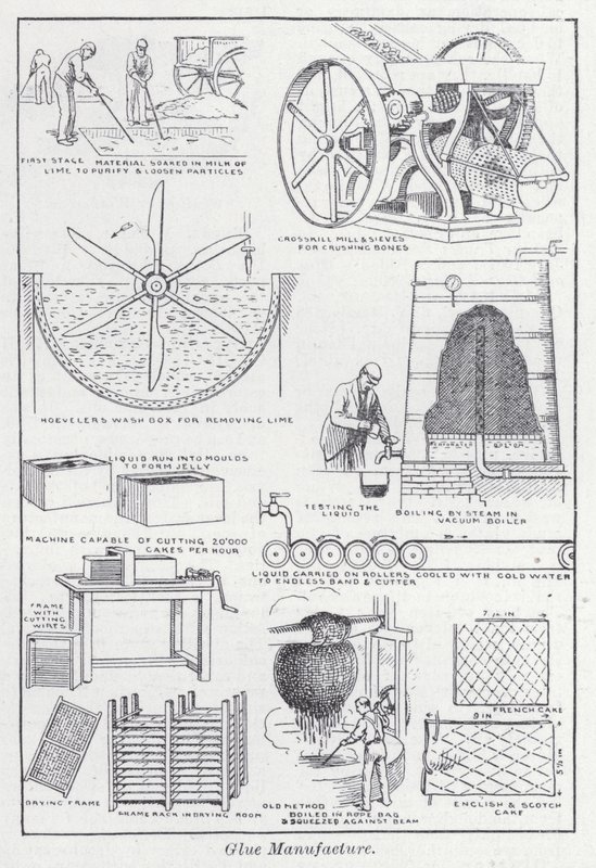 Fabbricazione della colla da English School