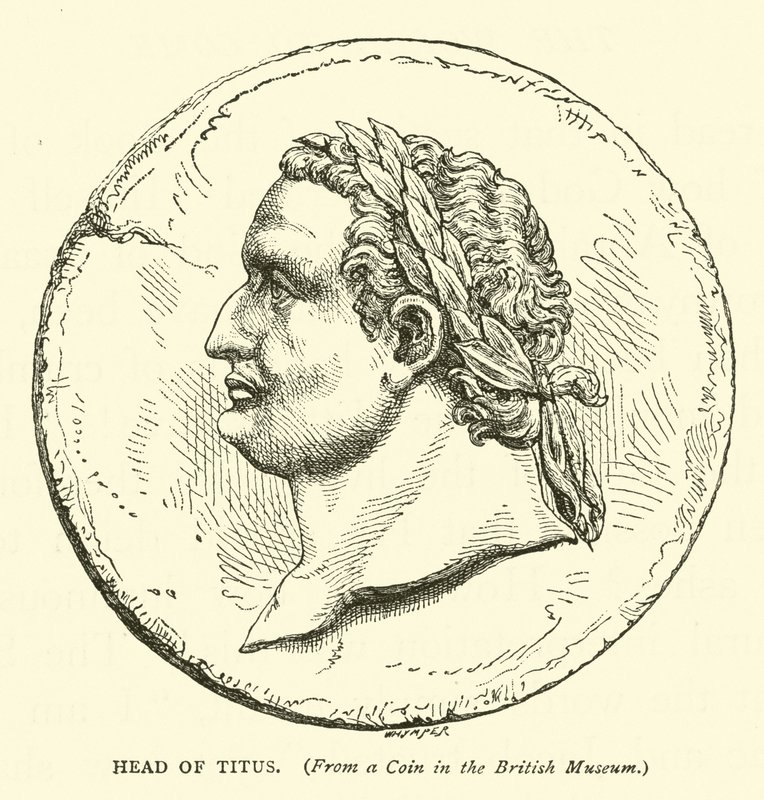 Testa di Tito da English School