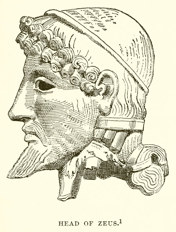 Testa di Zeus da English School