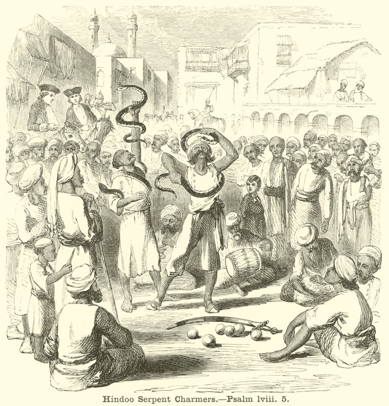 Incantatori di serpenti indù, Salmo, lviii, 5 da English School