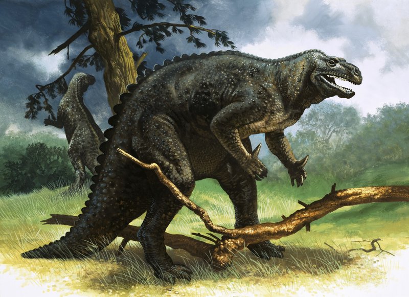 Iguanodonte da English School
