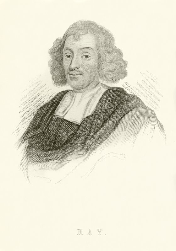 John Ray da English School