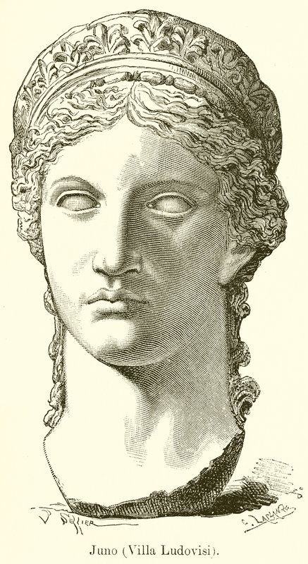 Giunone (Villa Ludovisi) da English School