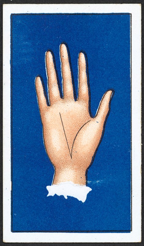 Linea della fortuna da English School