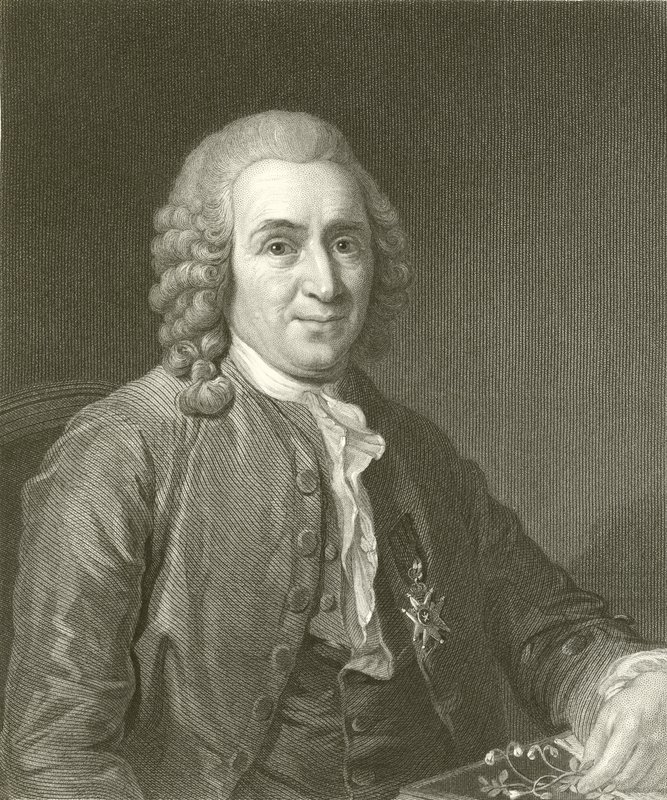 Linnaeus da English School