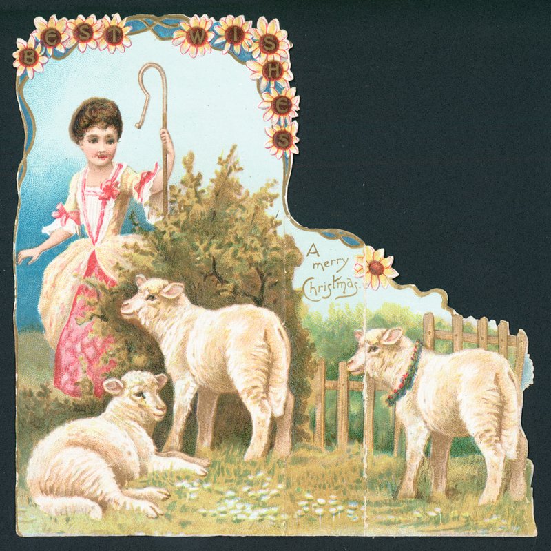 Little Bo Peep da English School
