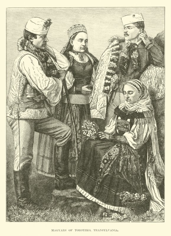 Magiar di Torotzko, Transilvania da English School
