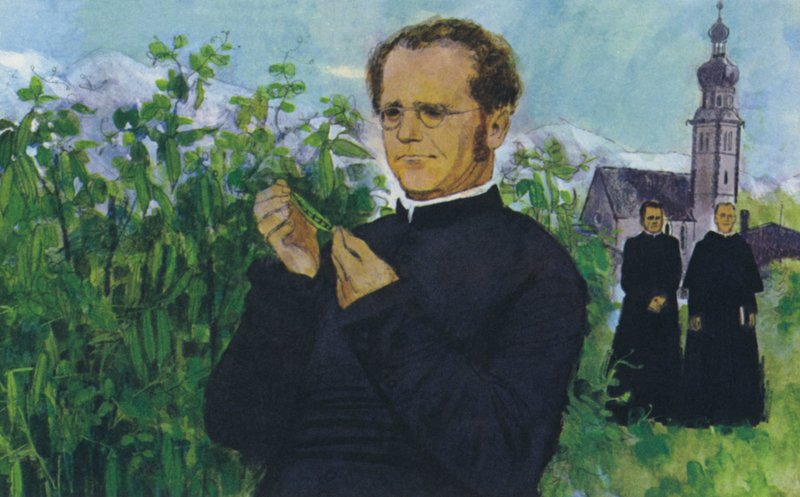 Mendel che studia nel monastero da English School