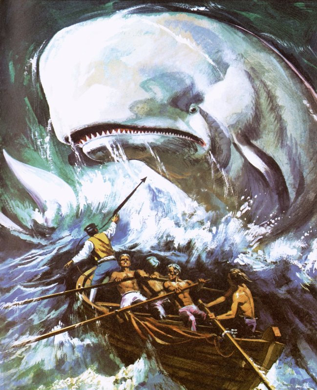 Moby Dick da English School