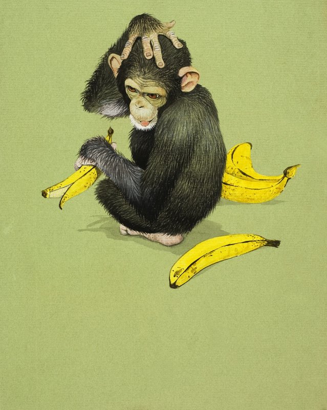 Scimmia con banane da English School