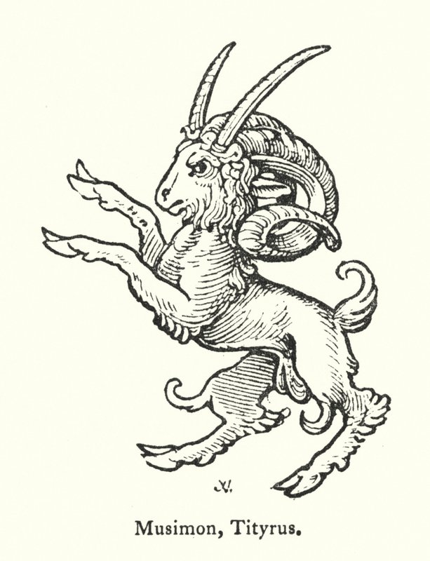 Musimon, Tityrus da English School
