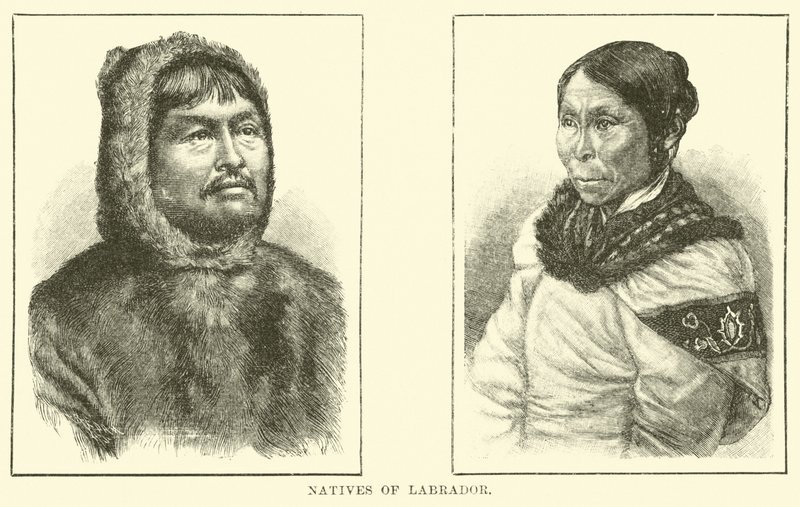 Nativi del Labrador da English School