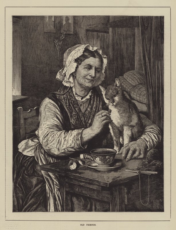 Vecchi amici da English School