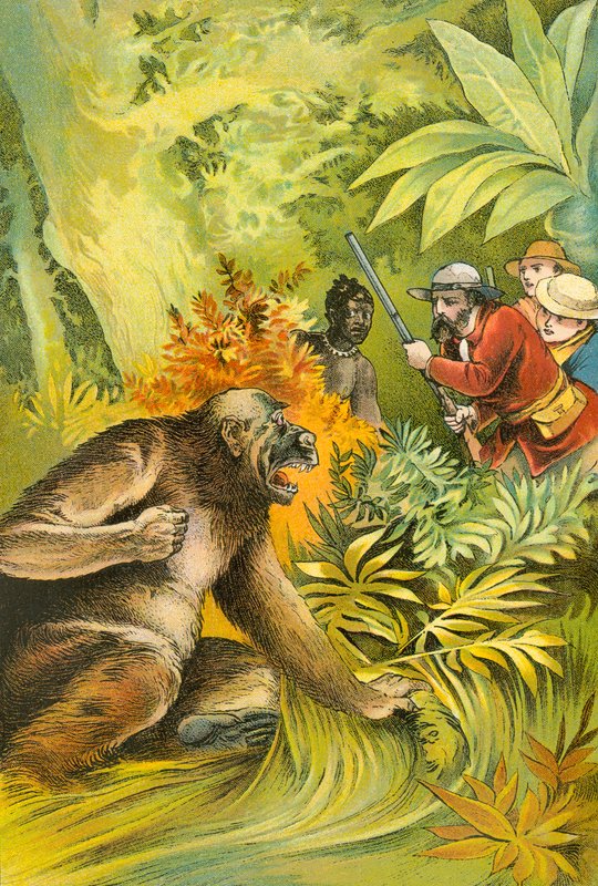 Il nostro primo gorilla da English School