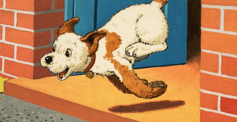 Paddy-Paws il cucciolo da English School