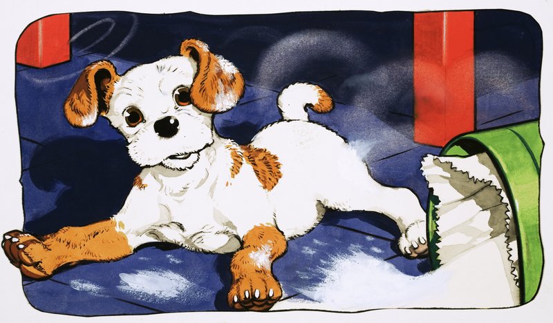 Paddy Paws da English School