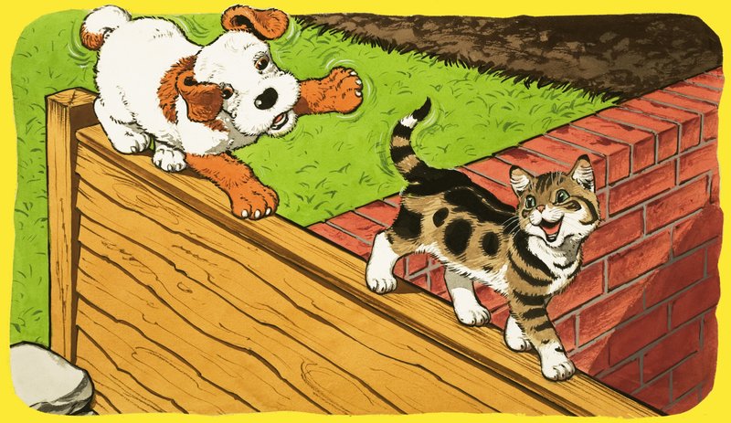 Paddy Paws da English School