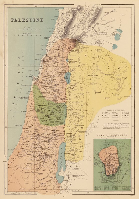Palestina da English School