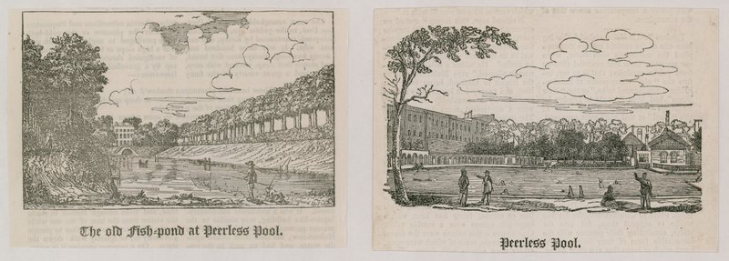 Peerless Pool da English School