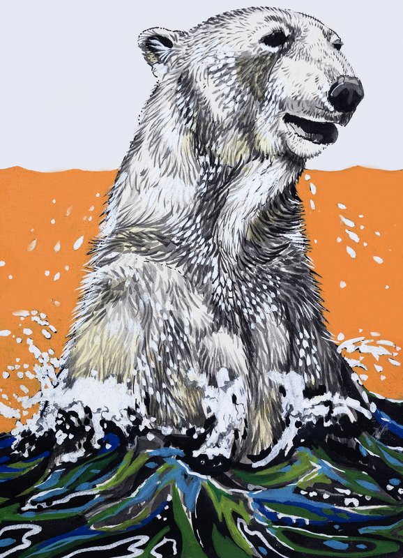 Orso polare (gouache su carta) da English School