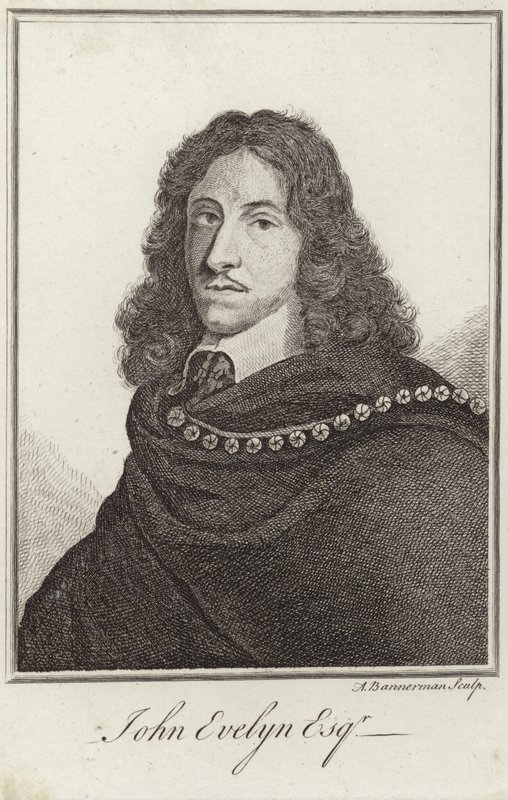 Ritratto di John Evelyn da English School