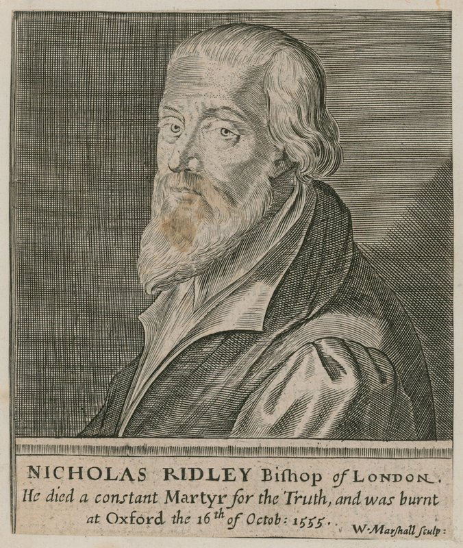 Ritratto di Nicholas Ridley da English School