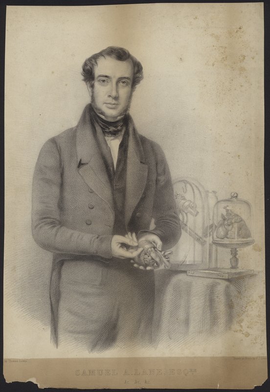 Ritratto di Samuel Armstrong Lane da English School
