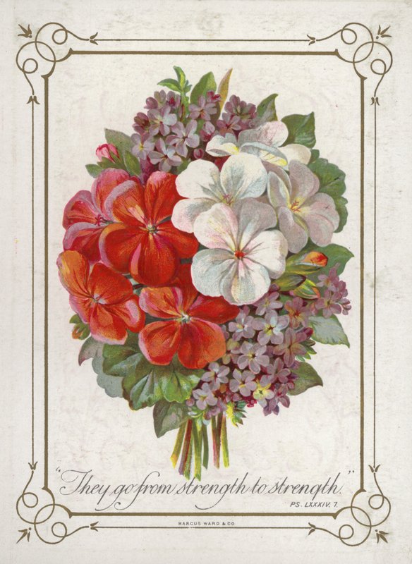 Mazzo di fiori da English School