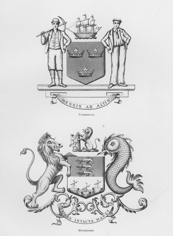 Stemma pubblico: Tynemouth; Waterford da English School