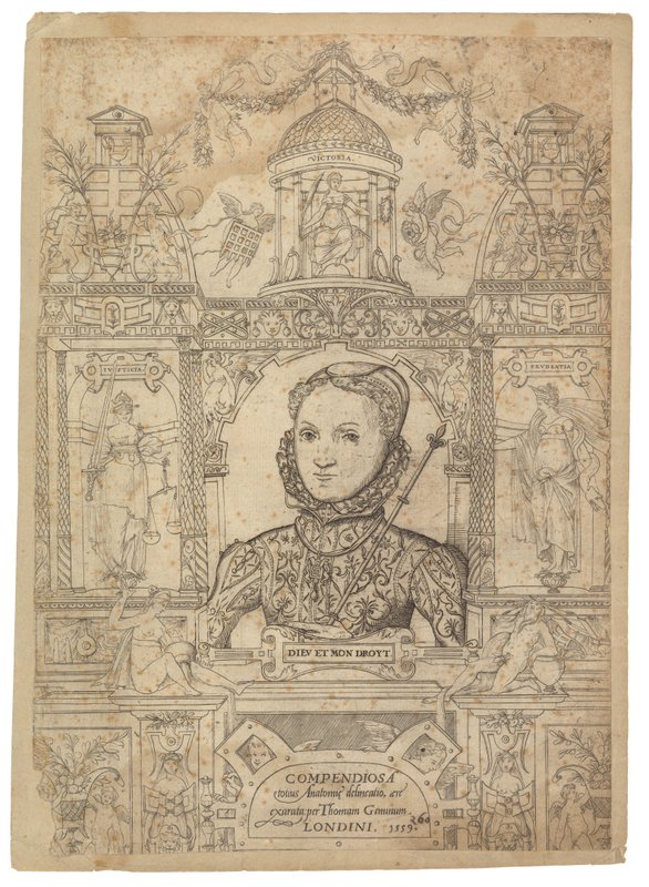 Regina Elisabetta I da English School
