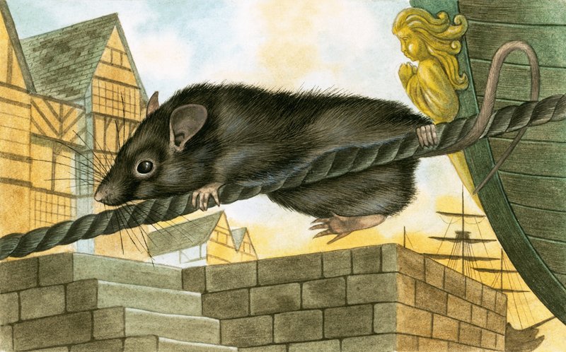 Ratto che lascia una nave da English School