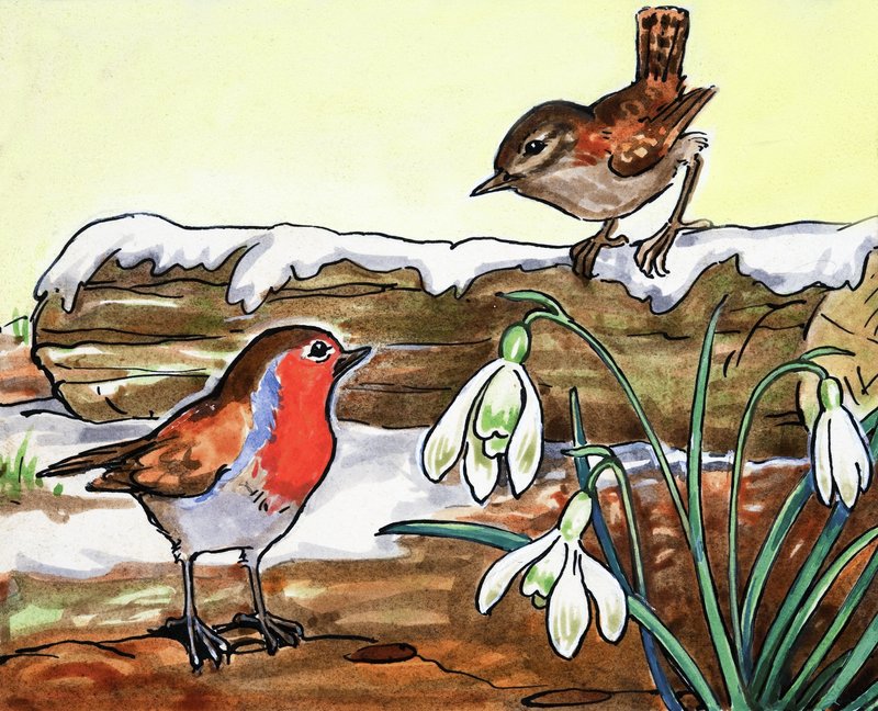 Pettirosso e Jenny Wren da English School