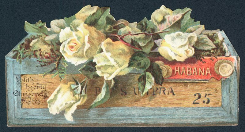 Rose in scatola di sigari, Cartolina di Natale da English School