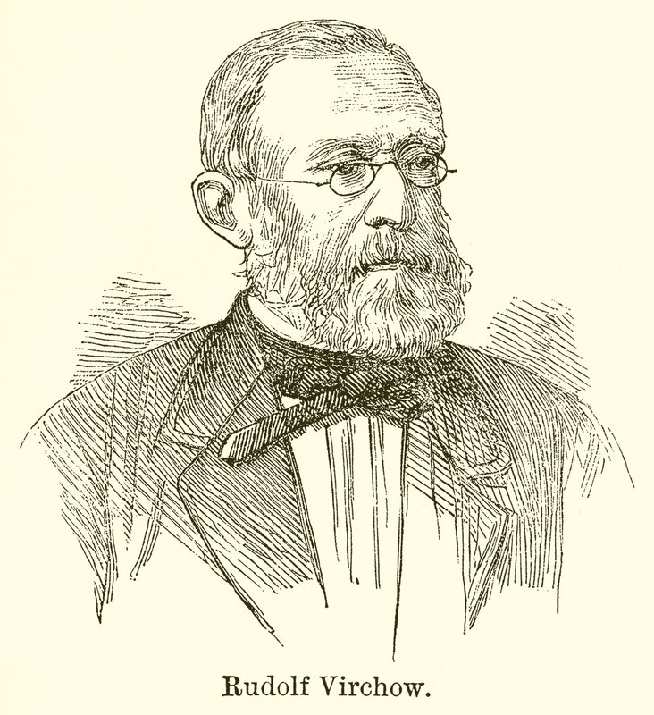 Rudolf Virchow da English School