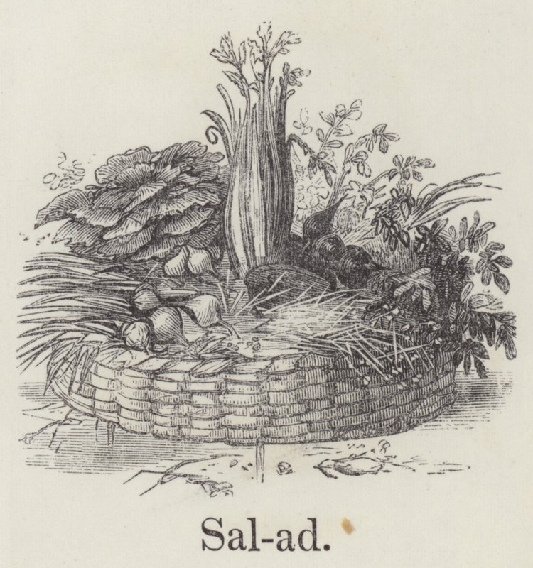 Insalata da English School