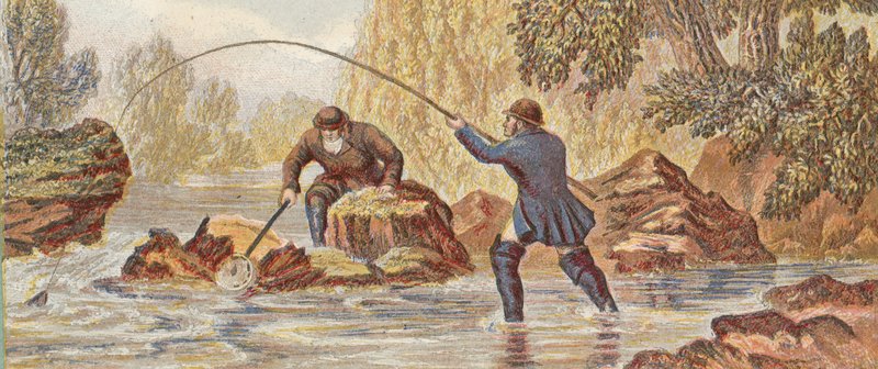 Pesca al salmone da English School