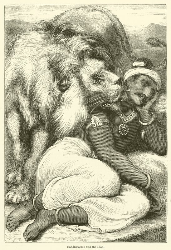 Sandrocottus e il leone (incisione) da English School