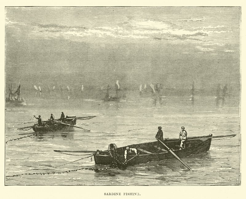 Pesca delle sardine da English School