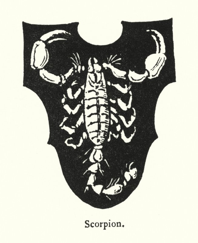Scorpione da English School