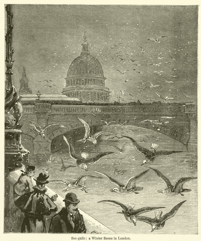 Gabbiani, una scena invernale a Londra da English School