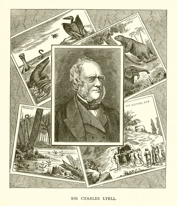 Sir Charles Lyell da English School