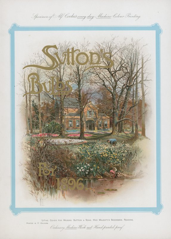 Bulbi di Sutton per il 1896 da English School