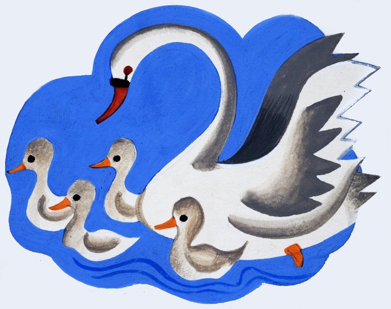 Cigno e cignetti da English School