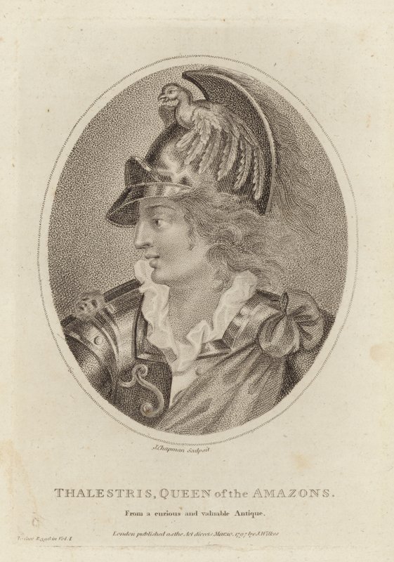 Talestri, Regina delle Amazzoni da English School
