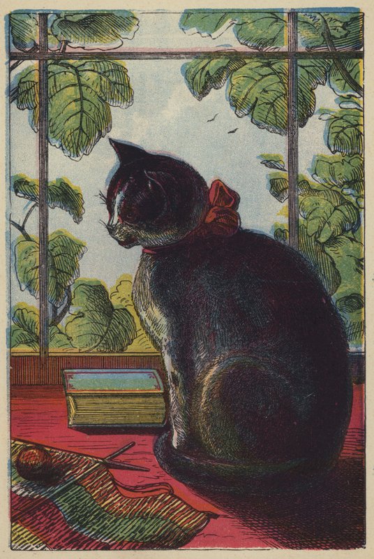 Il gatto da English School