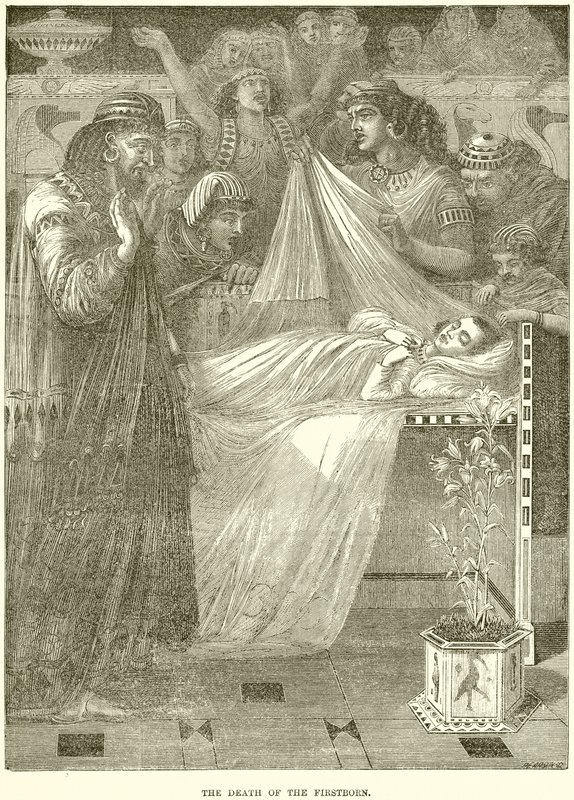 La morte del primogenito da English School