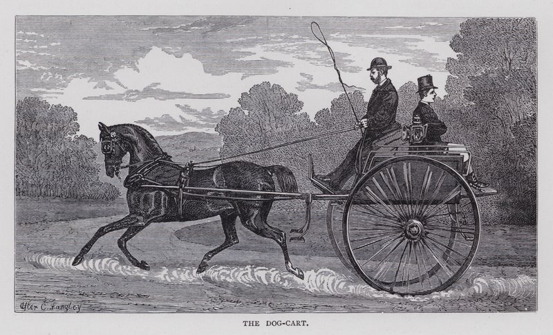 Il Dog-Cart (incisione) da English School